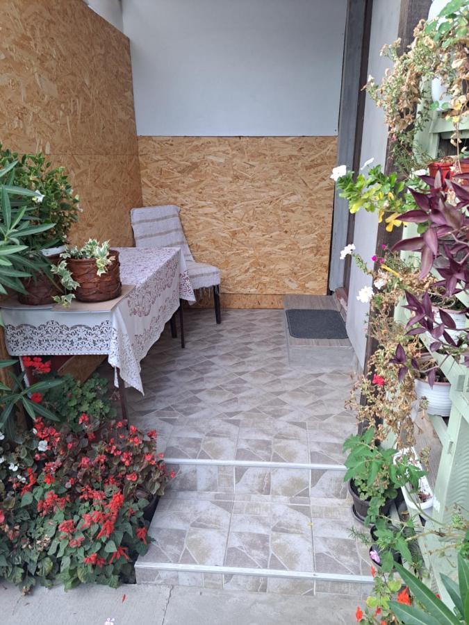 Apartment Capital Town Vk 14 Novi Sad Luaran gambar
